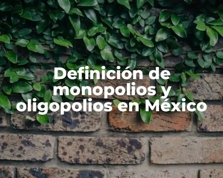 Definición de monopolios y oligopolios en México