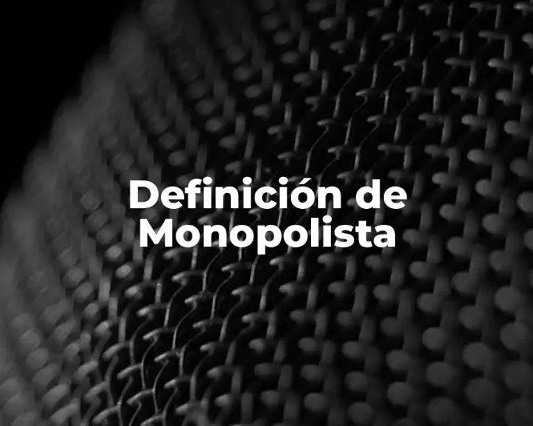Definición de Monopolista