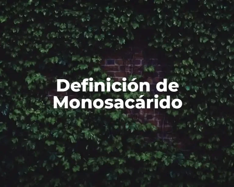 Definición de Monosacárido