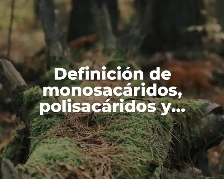Definición de monosacáridos, polisacáridos y disacáridos