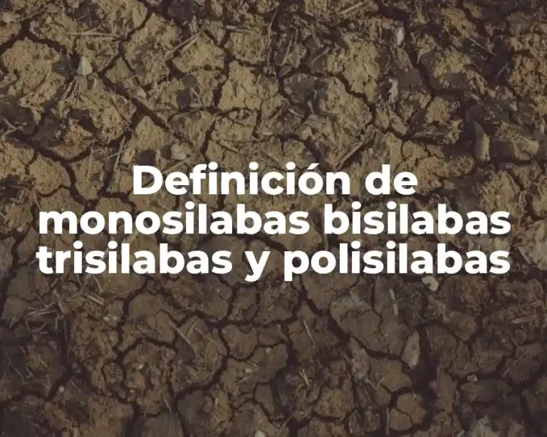 Definición de monosilabas bisilabas trisilabas y polisilabas