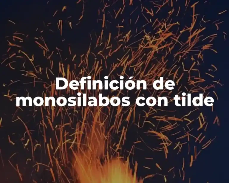 Definición de monosilabos con tilde