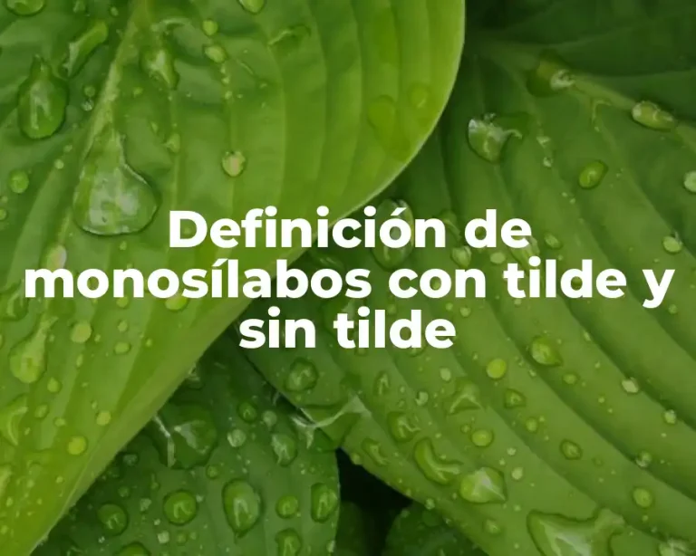 Definición de monosílabos con tilde y sin tilde