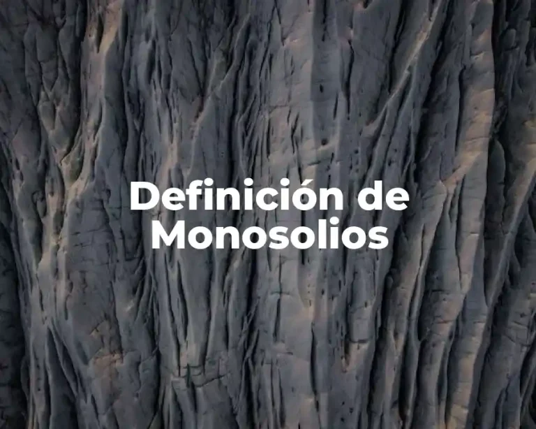 Definición de Monosolios