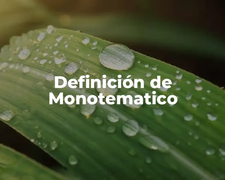 Definición de Monotematico