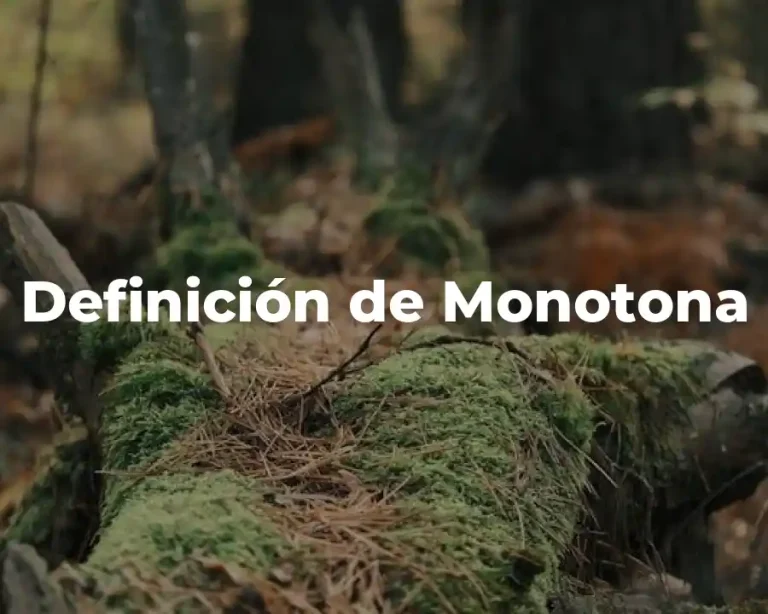 Definición de Monotona