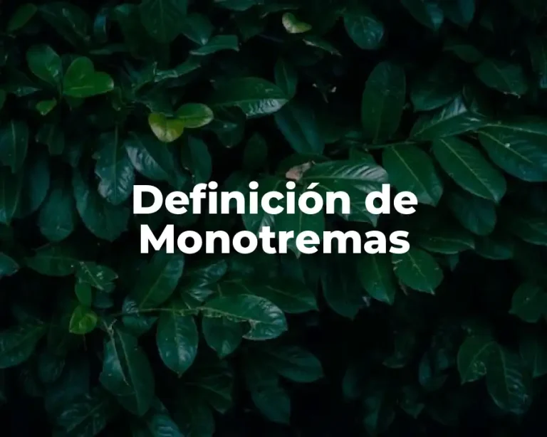 Definición de Monotremas