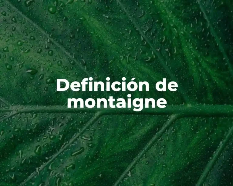 Definición de montaigne