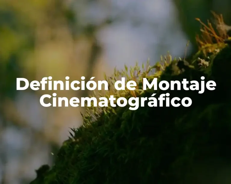 Definición de Montaje Cinematográfico