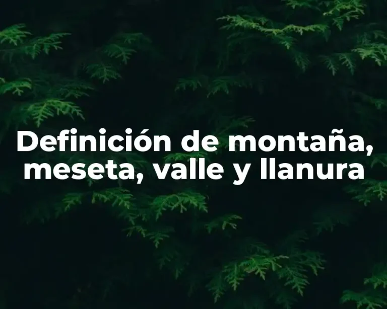Definición de montaña, meseta, valle y llanura