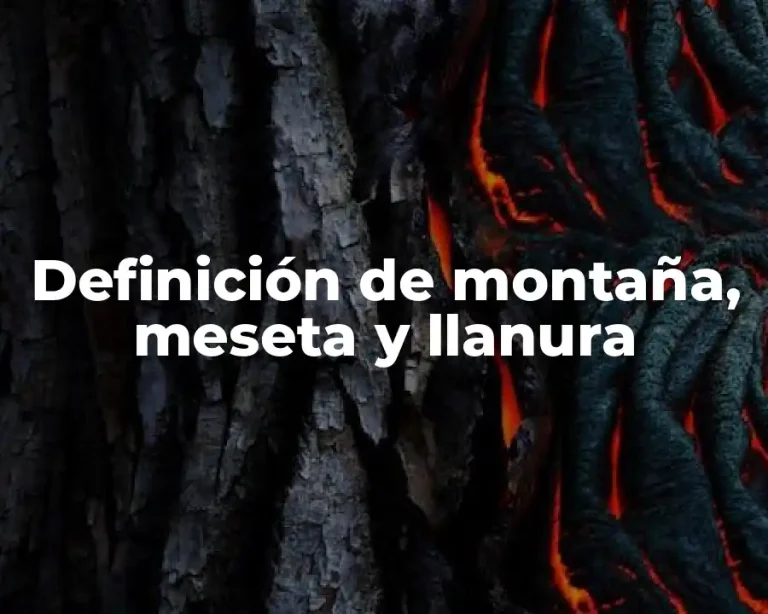 Definición de montaña, meseta y llanura
