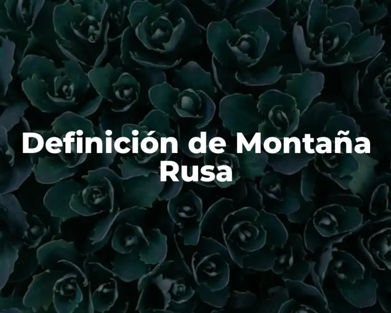 Definición de Montaña Rusa