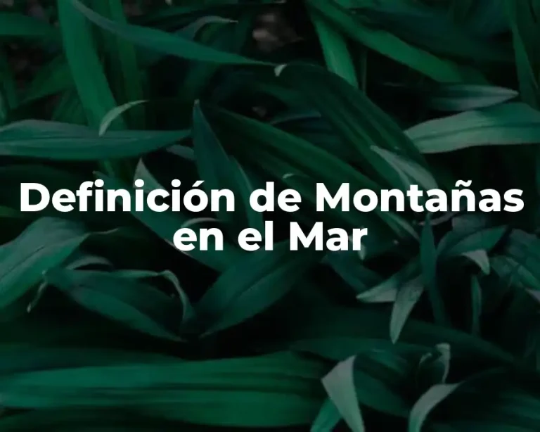 Definición de Montañas en el Mar