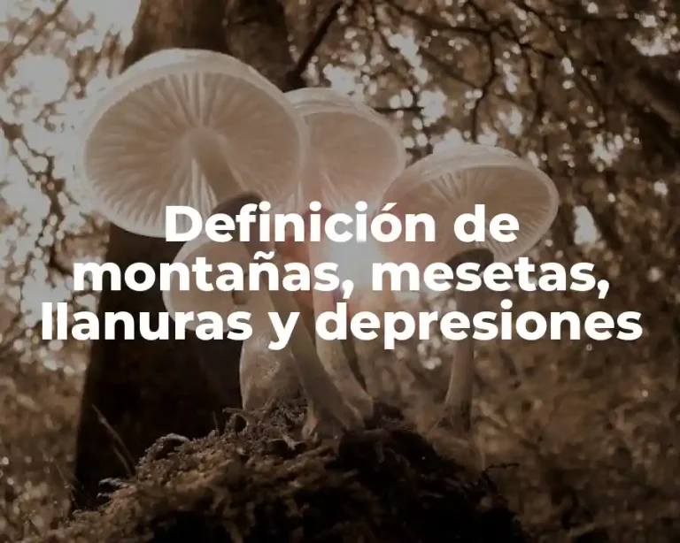 Definición de montañas, mesetas, llanuras y depresiones