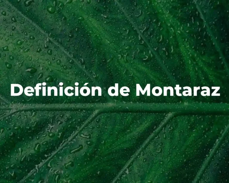 Definición de Montaraz