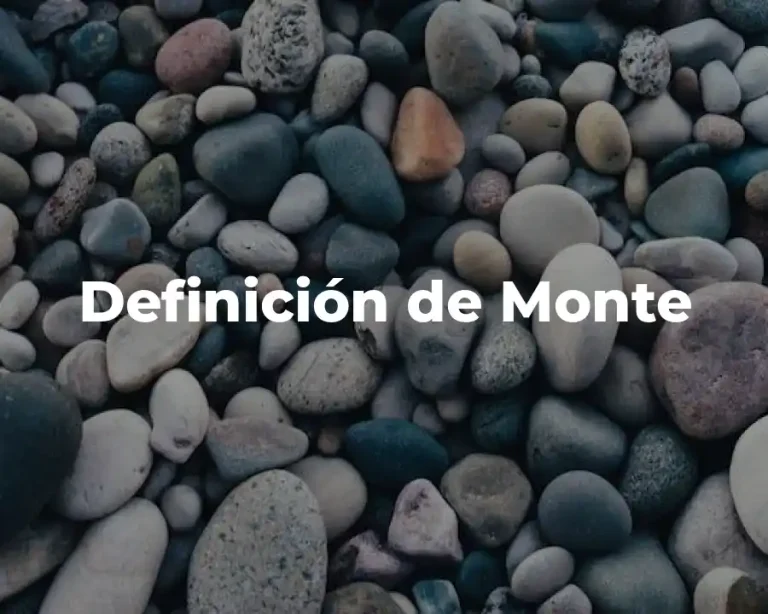 Definición de Monte