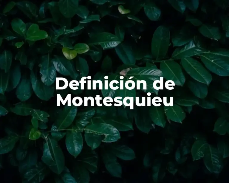 Definición de Montesquieu