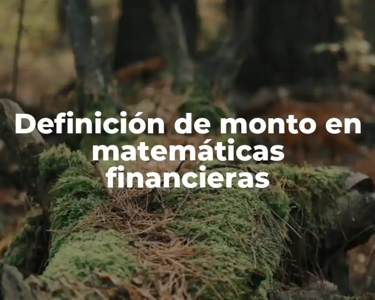 Definición de monto en matemáticas financieras
