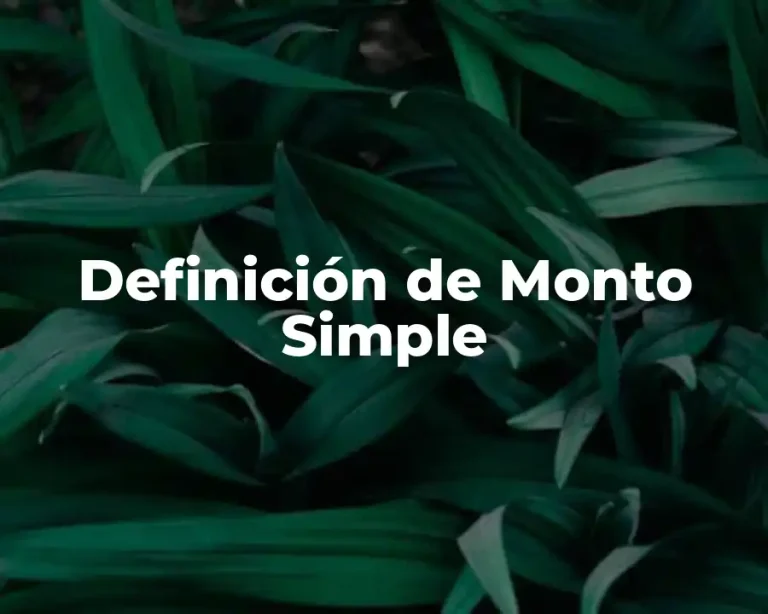Definición de Monto Simple