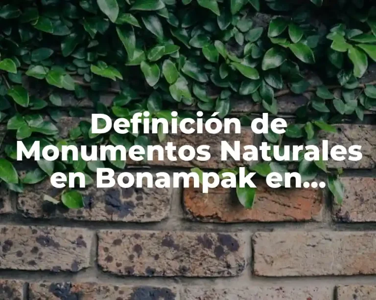 Definición de Monumentos Naturales en Bonampak en Chiapas