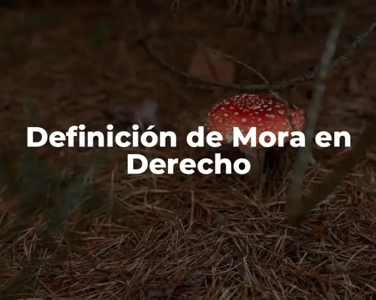 Definición de Mora en Derecho