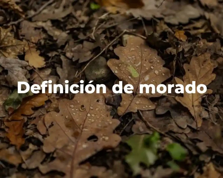 Definición de morado