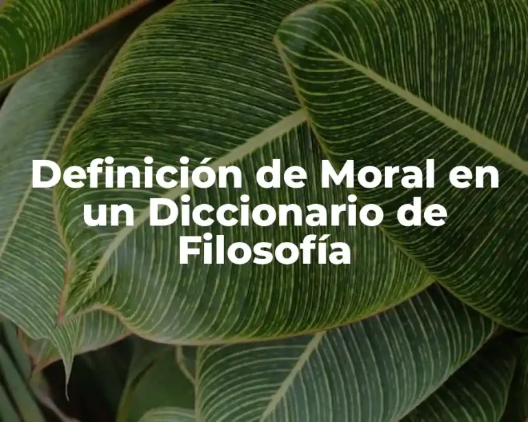 Definición de Moral en un Diccionario de Filosofía