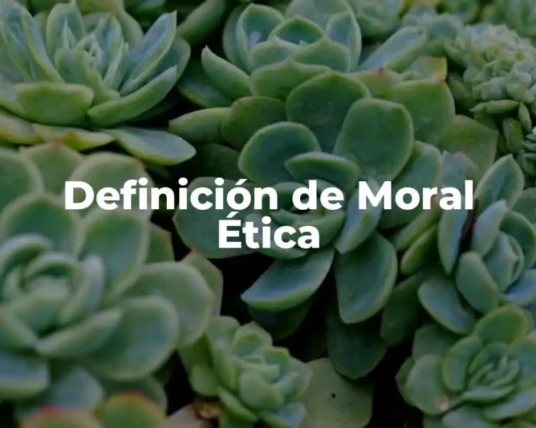 Definición de Moral Ética