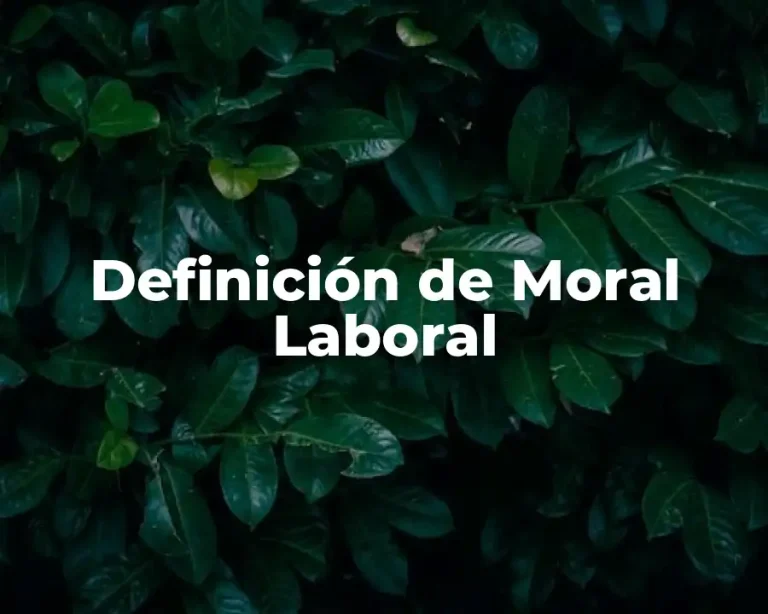 Definición de Moral Laboral