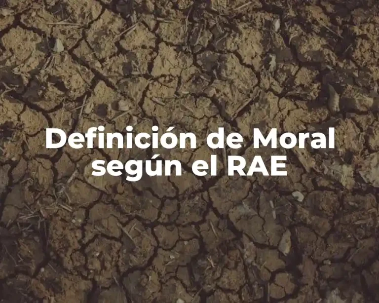 Definición de Moral según el RAE
