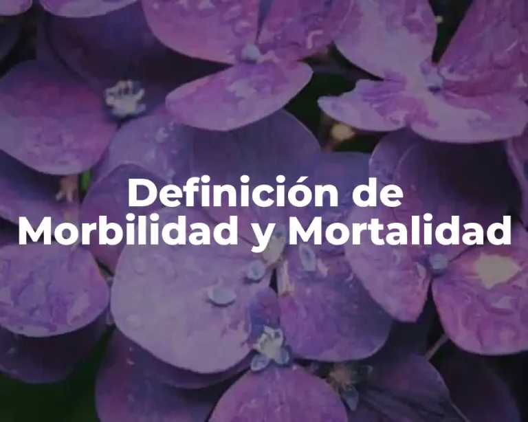 Definición de Morbilidad y Mortalidad