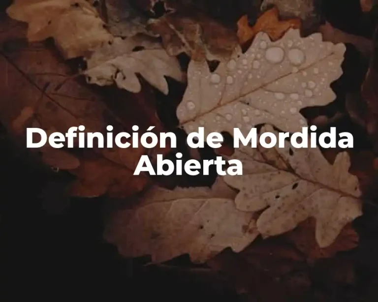 Definición de Mordida Abierta