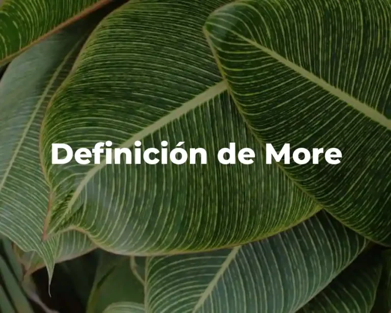 Definición de More