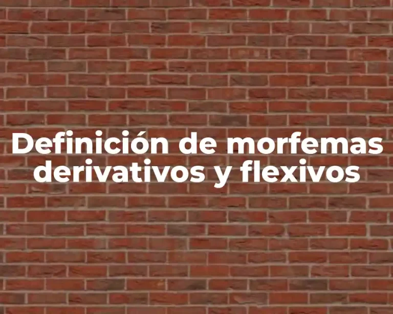 Definición de morfemas derivativos y flexivos