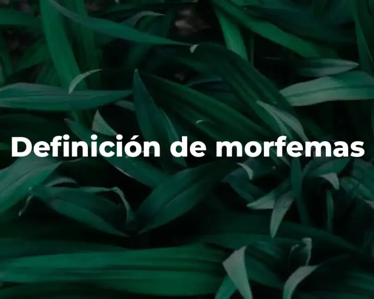 Definición de morfemas
