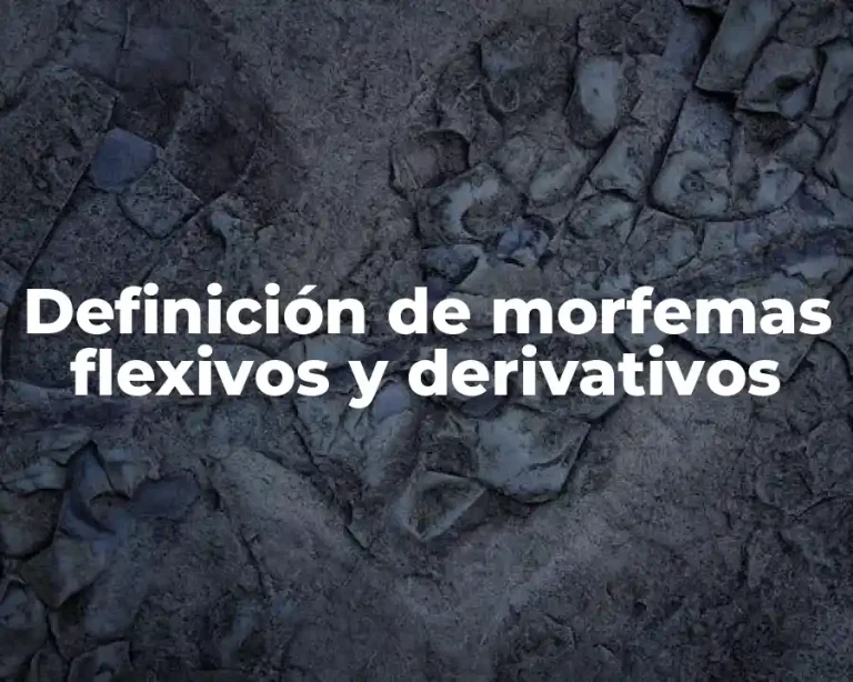 Definición de morfemas flexivos y derivativos