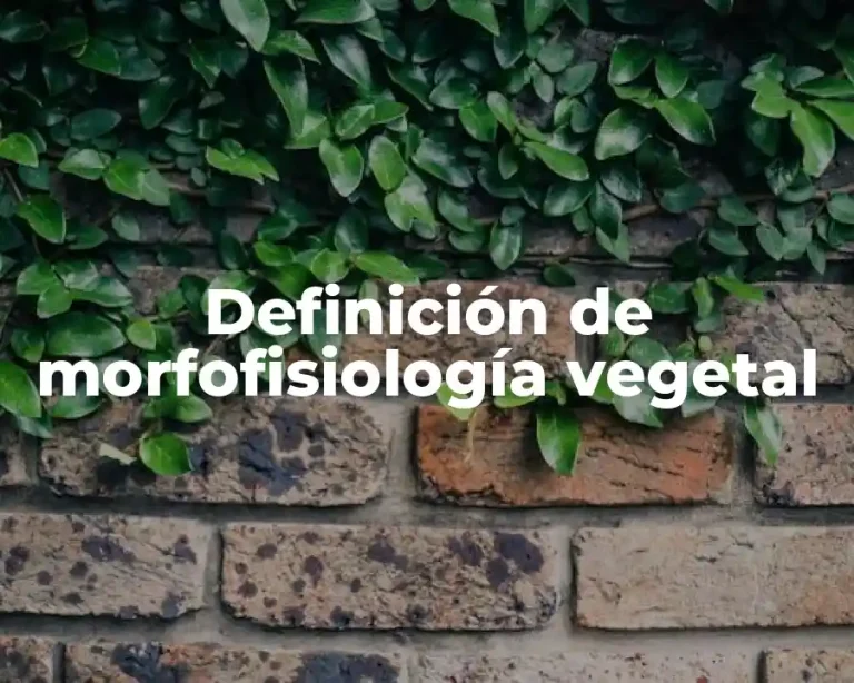 Definición de morfofisiología vegetal