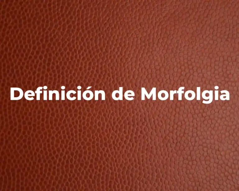 Definición de Morfolgia