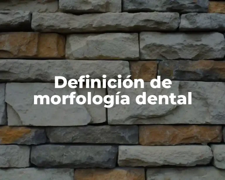 Definición de morfología dental