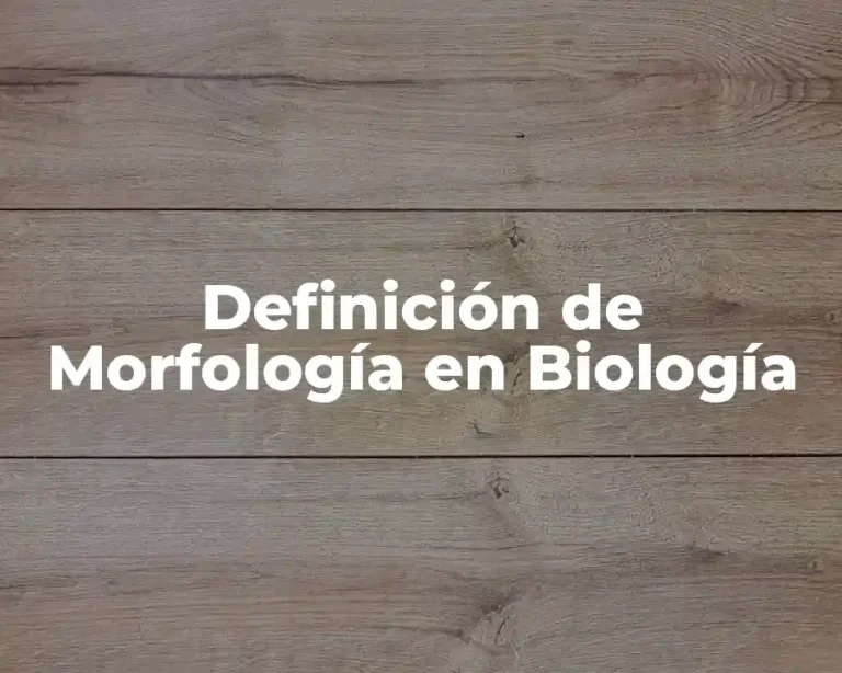 Definición de Morfología en Biología