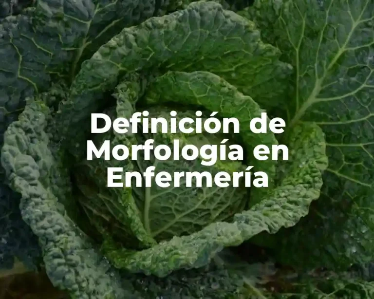 Definición de Morfología en Enfermería