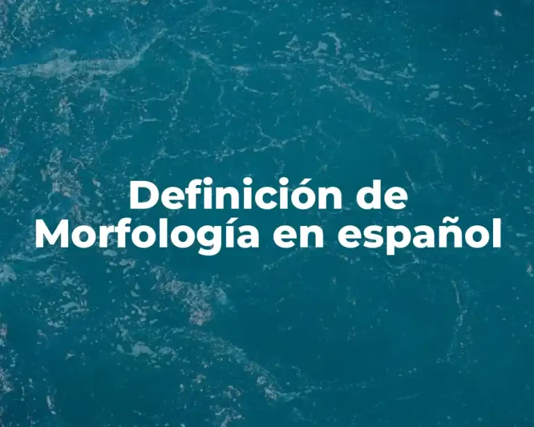 Definición de Morfología en español