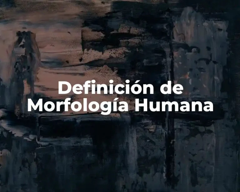 Definición de Morfología Humana