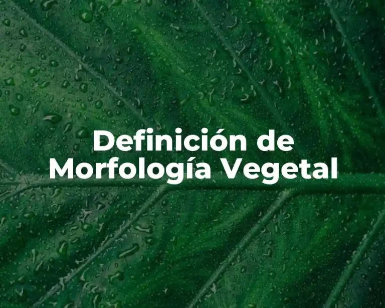 Definición de Morfología Vegetal