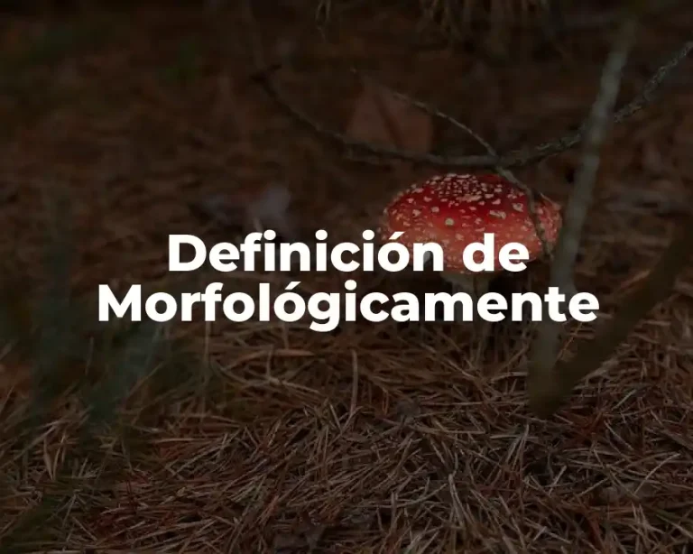 Definición de Morfológicamente
