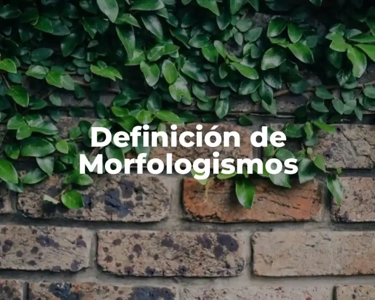 Definición de Morfologismos