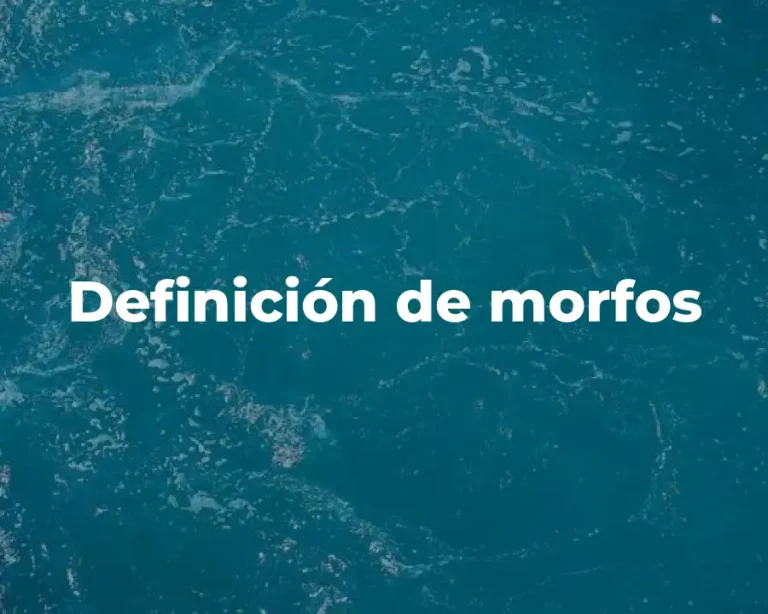 Definición de morfos