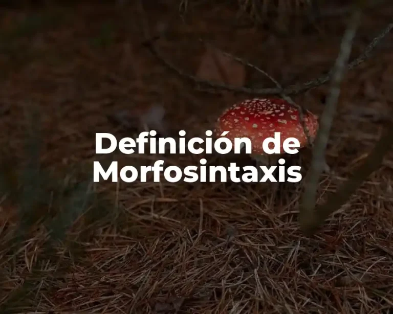 Definición de Morfosintaxis