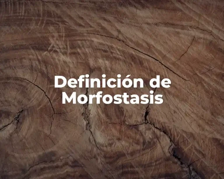 Definición de Morfostasis