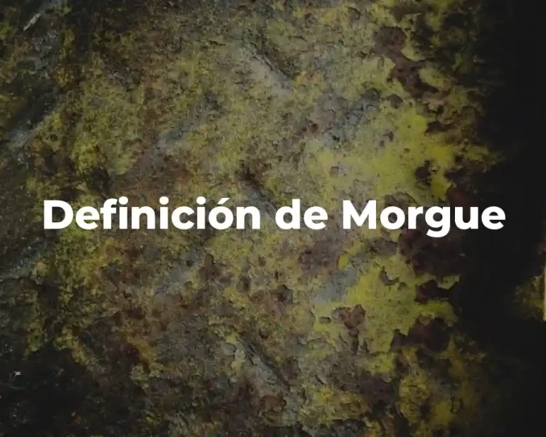 Definición de Morgue